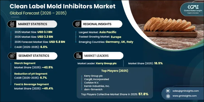 Clean Label Mold Inhibitors Market - IMG1