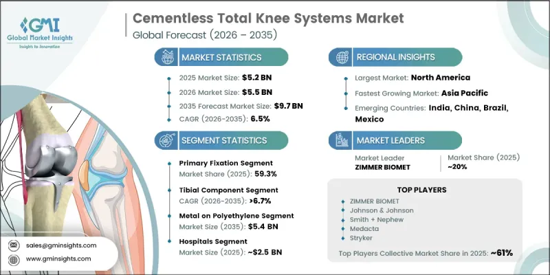 Cementless Total Knee Systems Market - IMG1