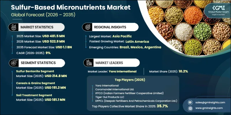 Sulfur-Based Micronutrients Market - IMG1