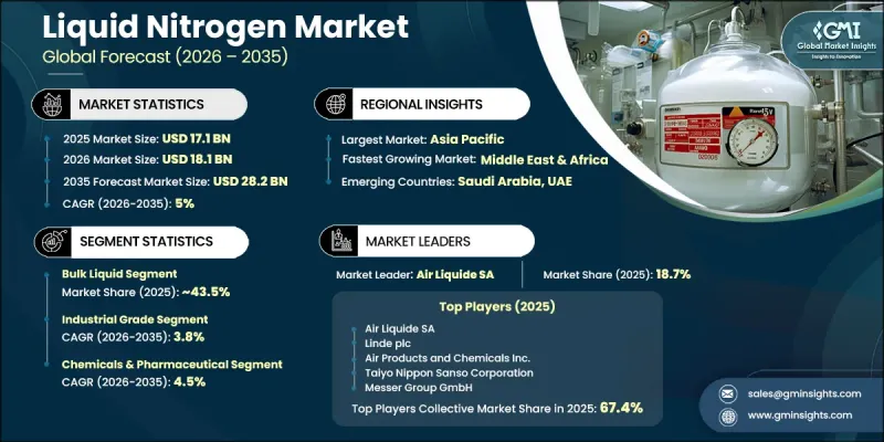 Liquid Nitrogen Market - IMG1