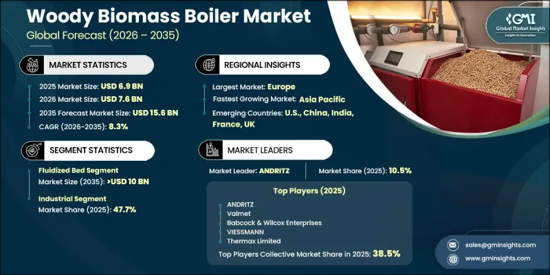 Woody Biomass Boiler Market - IMG1