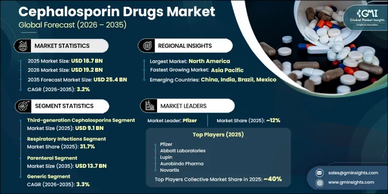 Cephalosporin Drugs Market - IMG1