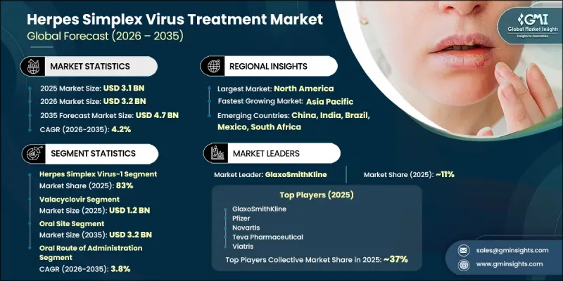 Herpes Simplex Virus Treatment Market - IMG1