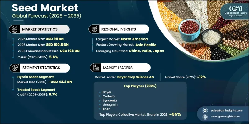 Seed Market - IMG1