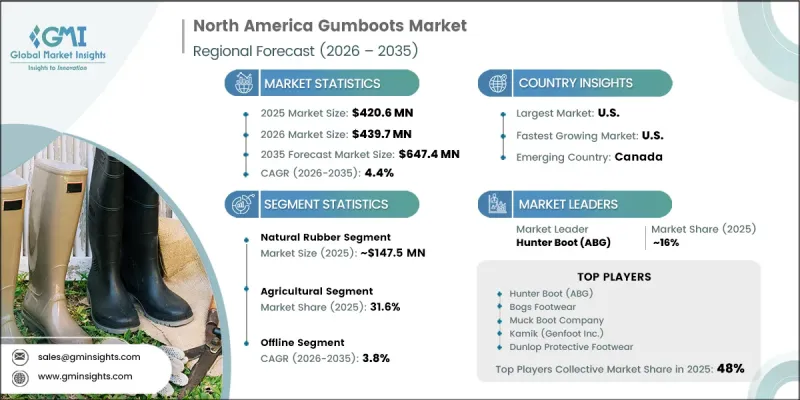 North America Gumboots Market - IMG1