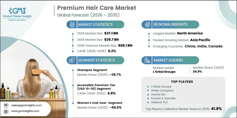 Premium Hair Care Market - IMG1