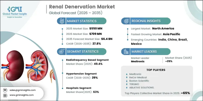 Renal Denervation Market - IMG1