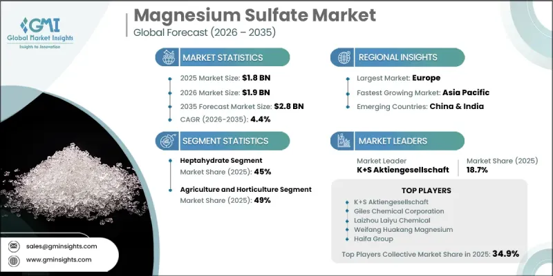 Magnesium Sulfate Market - IMG1