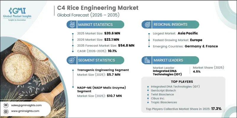 C4 Rice Engineering Market - IMG1