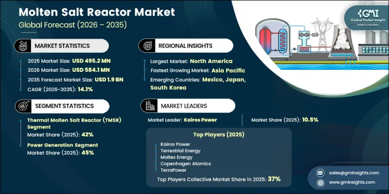 Molten Salt Reactor Market - IMG1