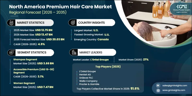 North America Premium Hair Care Market - IMG1