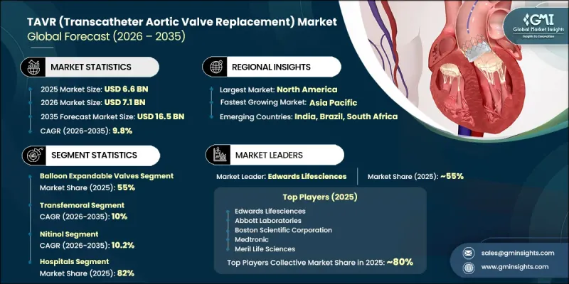 TAVR (Transcatheter Aortic Valve Replacement) Market - IMG1