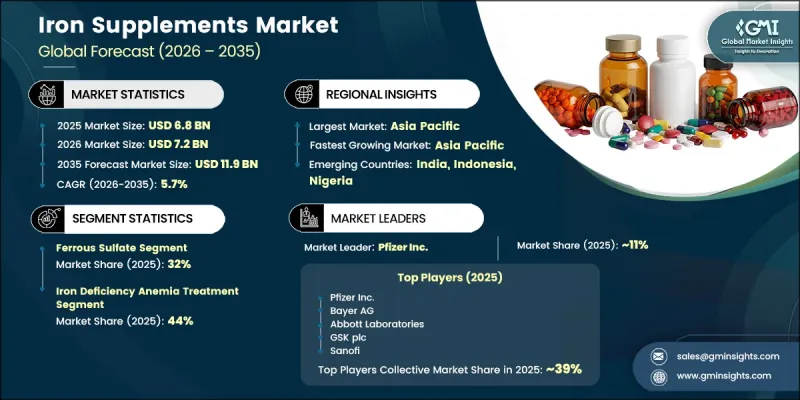 Iron Supplements Market - IMG1
