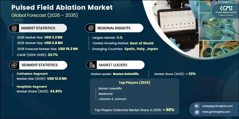 Pulsed Field Ablation Market - IMG1