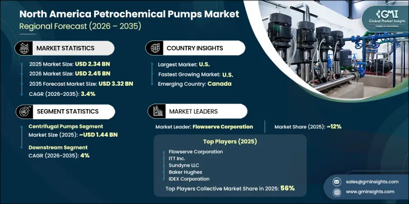 North America Petrochemical Pumps Market - IMG1
