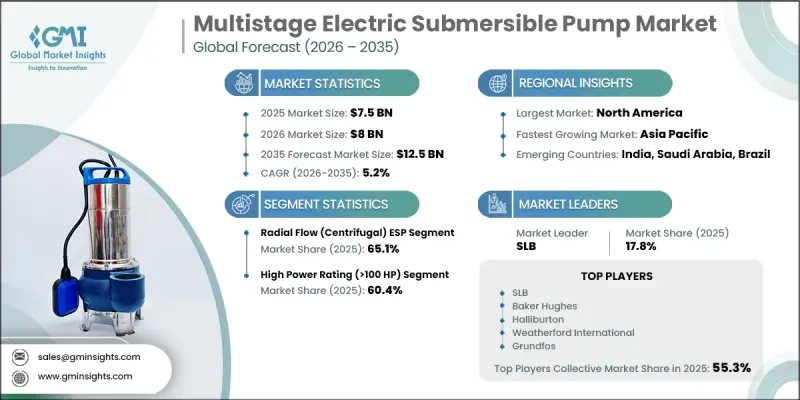 Multistage Electric Submersible Pump Market - IMG1