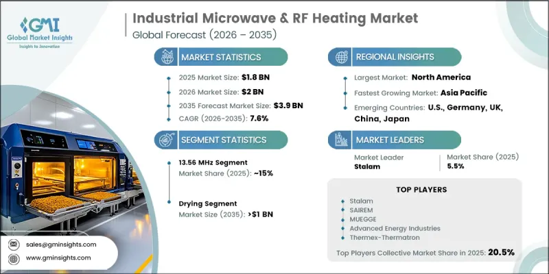 Industrial Microwave and RF Heating Market - IMG1