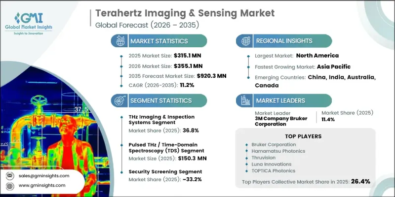 Terahertz Imaging and Sensing Market - IMG1