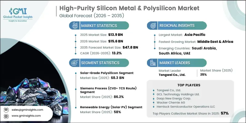 High-Purity Silicon Metal and Polysilicon Market - IMG1