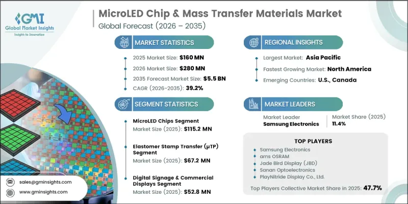 MicroLED Chip and Mass Transfer Materials Market - IMG1