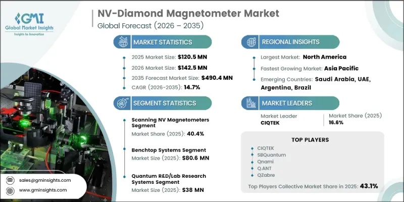NV-Diamond Magnetometer Market - IMG1
