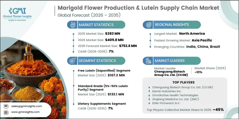 Marigold Flower Production and Lutein Supply Chain Market - IMG1