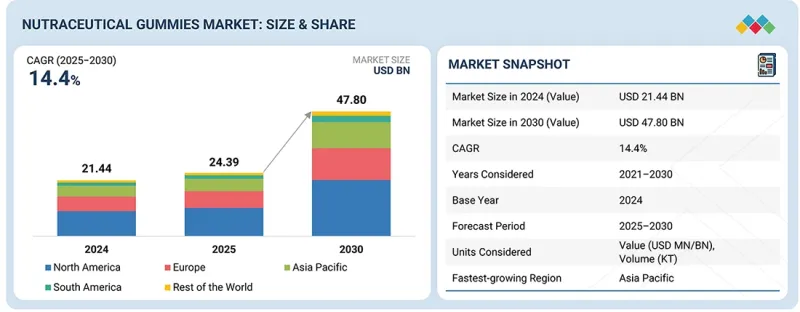 Nutraceutical Gummies Market - IMG1