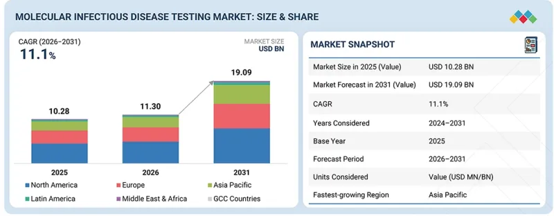 Molecular Infectious Disease Testing Market - IMG1