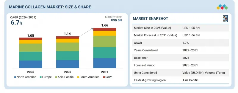 Marine Collagen Market - IMG1