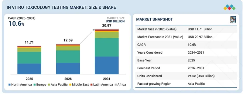 In Vitro Toxicology Testing Market - IMG1