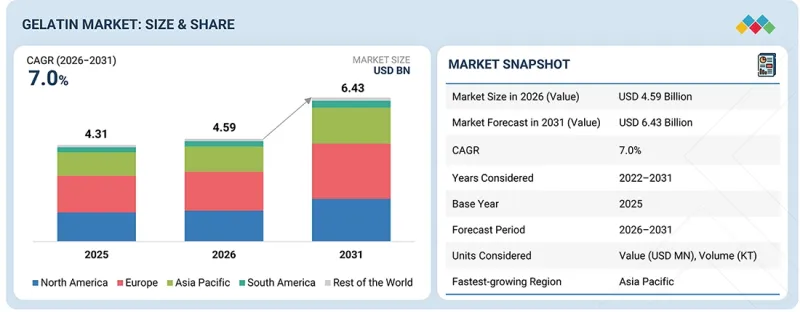 Gelatin Market - IMG1