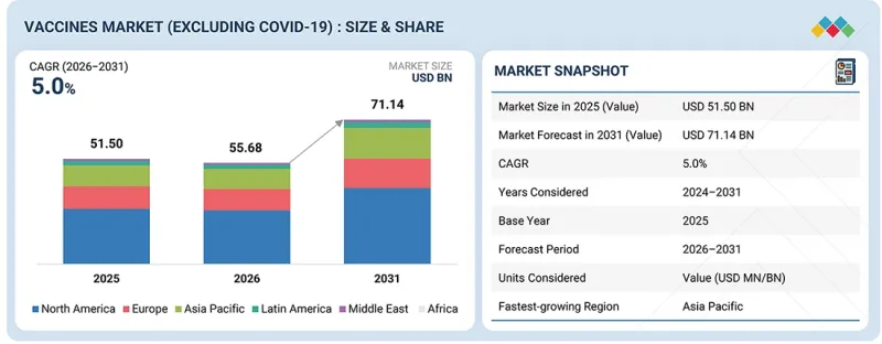 Vaccines Market - IMG1