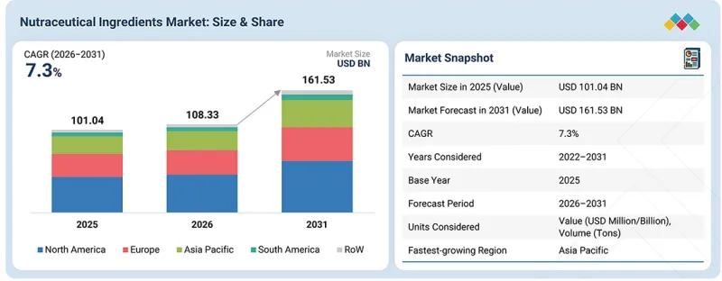 Nutraceutical Ingredients Market - IMG1