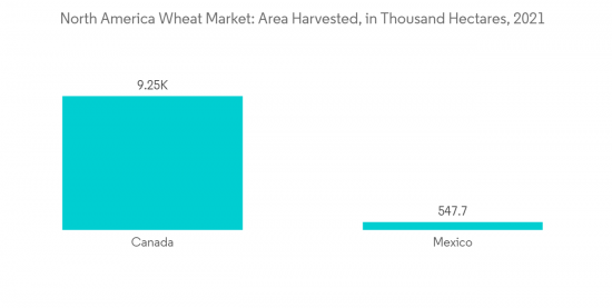 North America Wheat Market - IMG2