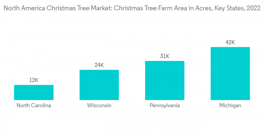 North America Christmas Tree Market - IMG1