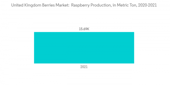 United Kingdom Berries Market - IMG1