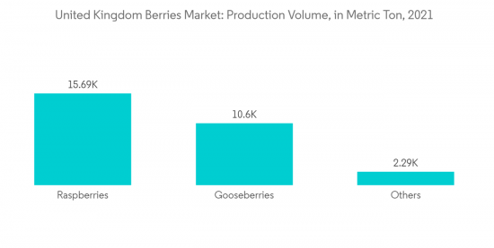United Kingdom Berries Market - IMG2