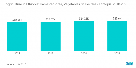 Agriculture in Ethiopia - Market - IMG2