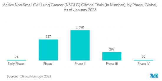 Non-Small Cell Lung Cancer (NSCLC) - Market - IMG2