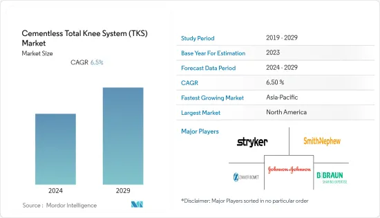 Cementless Total Knee System (TKS) - Market - IMG1