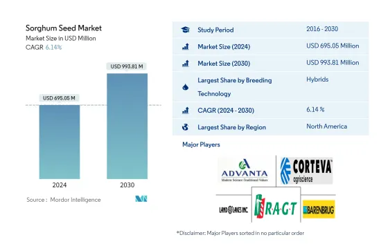 Sorghum Seed - Market