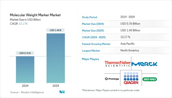 Molecular Weight Marker - Market