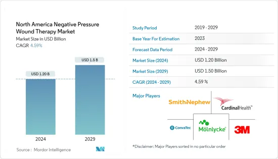 North America Negative Pressure Wound Therapy - Market