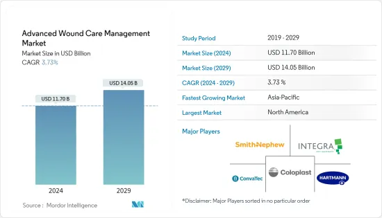 Advanced Wound Care Management - Market