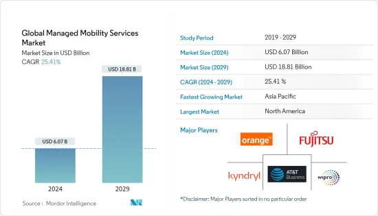 Global Managed Mobility Services - Market