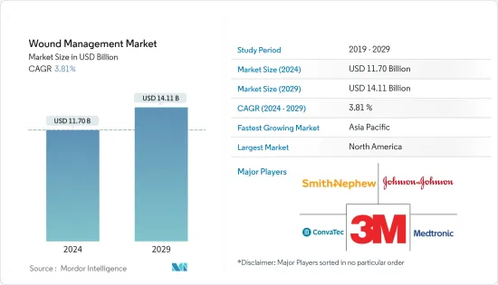 Wound Management - Market