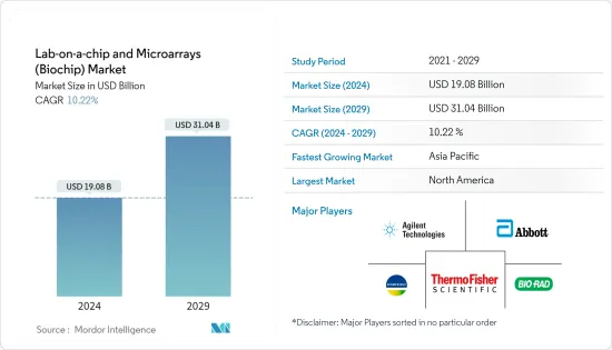 Lab-on-a-chip and Microarrays (Biochip) - Market