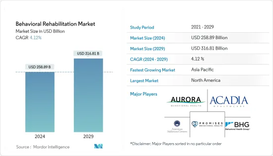 Behavioral Rehabilitation - Market