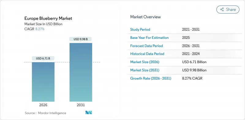 Europe Blueberry - Market - IMG1