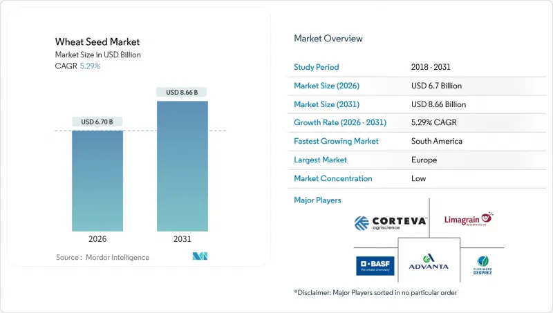 Wheat Seed - Market - IMG1